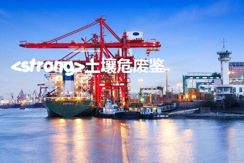 <strong>土壤危废鉴定标准最新版危险废弃物处理的专业之道：安全高效的施工技术</strong>